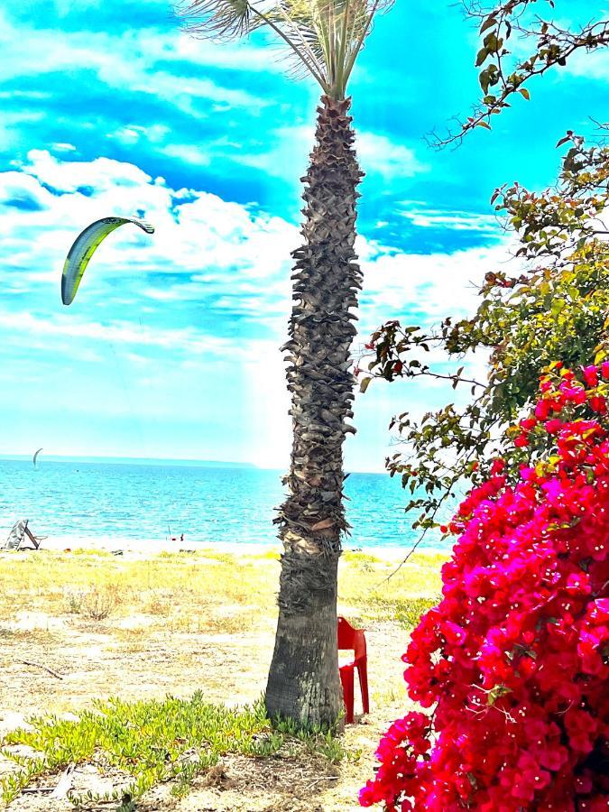 טורה גרנדה Windsurf Beach Front מראה חיצוני תמונה