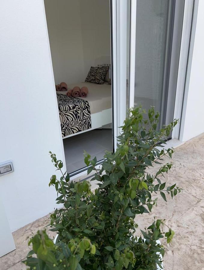 טורה גרנדה Windsurf Beach Front מראה חיצוני תמונה